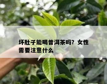 坏肚子能喝普洱茶吗？女性需要注意什么