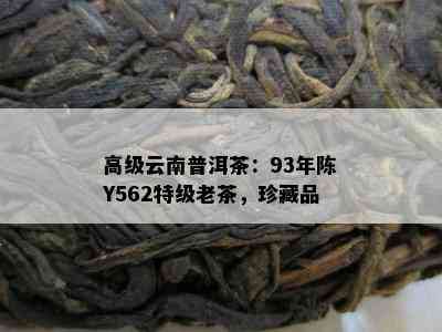 高级云南普洱茶：93年陈Y562特级老茶，珍藏品