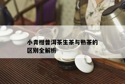 小青柑普洱茶生茶与熟茶的区别全解析