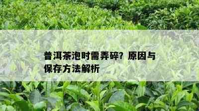 普洱茶泡时需弄碎？起因与保存方法解析