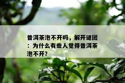 普洱茶泡不开吗，解开谜团：为什么有些人觉得普洱茶泡不开？