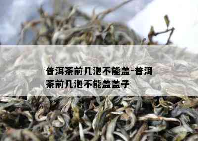 普洱茶前几泡不能盖-普洱茶前几泡不能盖盖子