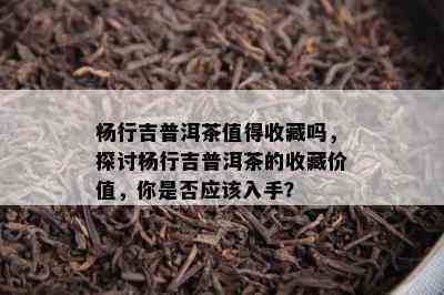 杨行吉普洱茶值得收藏吗，探讨杨行吉普洱茶的收藏价值，你是否应该入手？