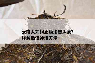 云南人如何正确泡普洱茶？详解更佳冲泡方法