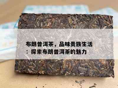 布朗普洱茶，品味贵族生活：探索布朗普洱茶的魅力