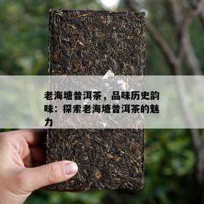 老海塘普洱茶，品味历史韵味：探索老海塘普洱茶的魅力