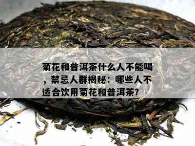 菊花和普洱茶什么人不能喝，禁忌人群揭秘：哪些人不适合饮用菊花和普洱茶？