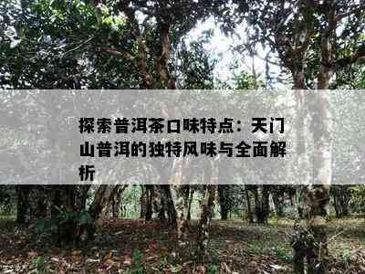 探索普洱茶口味特点：天门山普洱的特别风味与全面解析