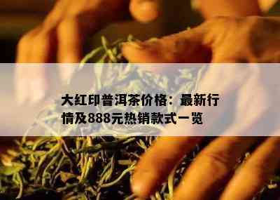 大红印普洱茶价格：最新行情及888元热销款式一览