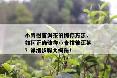 小青柑普洱茶的储存方法，怎样正确储存小青柑普洱茶？详细步骤大揭秘！