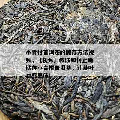 小青柑普洱茶的储存方法视频，【视频】教你怎样正确储存小青柑普洱茶，让茶叶口感更佳！