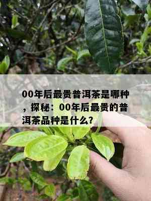 00年后最贵普洱茶是哪种，探秘：00年后最贵的普洱茶品种是什么？