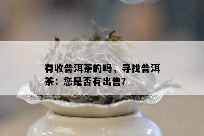 有收普洱茶的吗，寻找普洱茶：您是不是有出售？