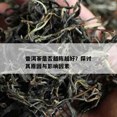 普洱茶是否越陈越好？探讨其原因与影响因素