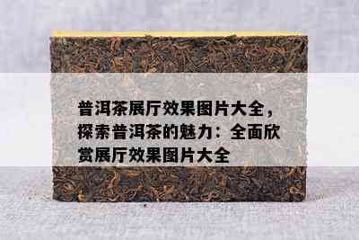 普洱茶展厅效果图片大全，探索普洱茶的魅力：全面欣赏展厅效果图片大全