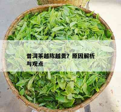 普洱茶越陈越贵？原因解析与观点