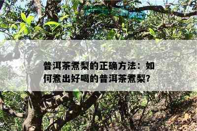 普洱茶煮梨的正确方法：怎样煮出好喝的普洱茶煮梨？