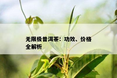 无限极普洱茶：功效、价格全解析