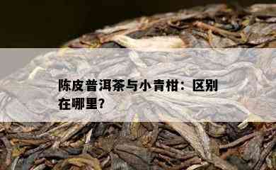 陈皮普洱茶与小青柑：区别在哪里？