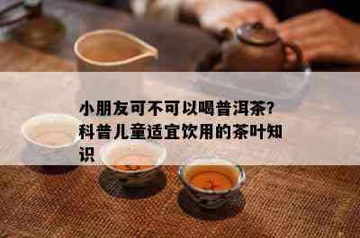 小朋友可不可以喝普洱茶？科普儿童适宜饮用的茶叶知识