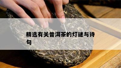 精选有关普洱茶的灯谜与诗句