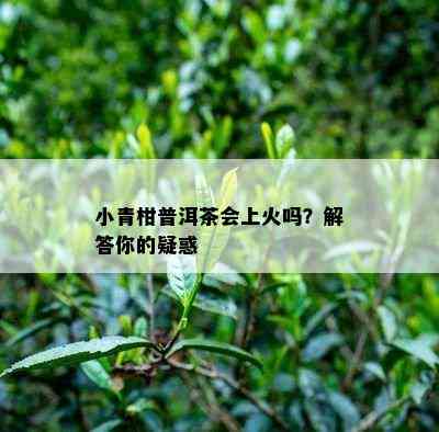 小青柑普洱茶会上火吗？解答你的疑惑