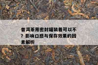 普洱茶用密封罐装着可以不？影响口感与保存效果的因素解析