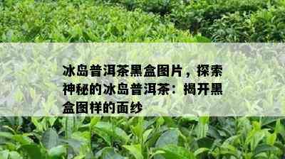 冰岛普洱茶黑盒图片，探索神秘的冰岛普洱茶：揭开黑盒图样的面纱