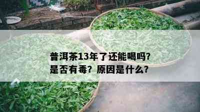 普洱茶13年了还能喝吗？是不是有？起因是什么？