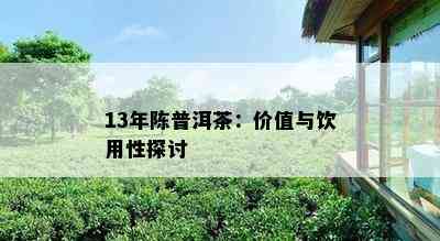 13年陈普洱茶：价值与饮用性探讨