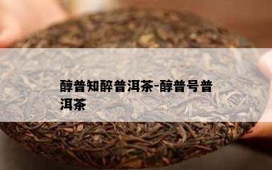 醇普知醉普洱茶-醇普号普洱茶