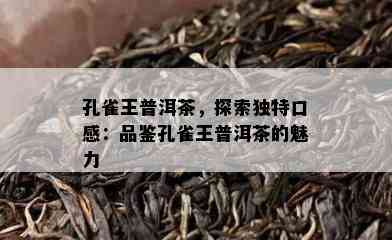 孔雀王普洱茶，探索特别口感：品鉴孔雀王普洱茶的魅力