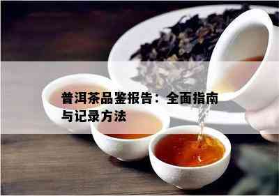 普洱茶品鉴报告：全面指南与记录方法