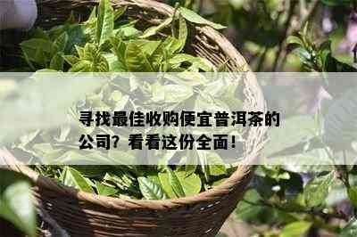 寻找更佳收购便宜普洱茶的公司？看看这份全面！