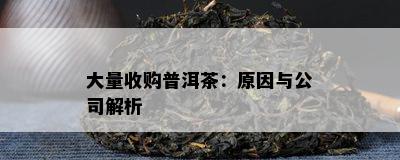 大量收购普洱茶：起因与公司解析