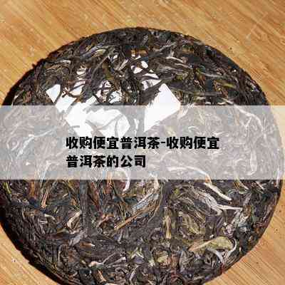 收购便宜普洱茶-收购便宜普洱茶的公司