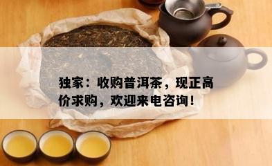 独家：收购普洱茶，现正高价求购，欢迎来电咨询！