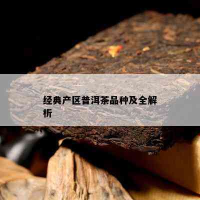 经典产区普洱茶品种及全解析