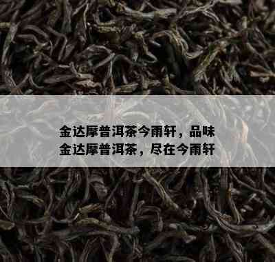 金达摩普洱茶今雨轩，品味金达摩普洱茶，尽在今雨轩