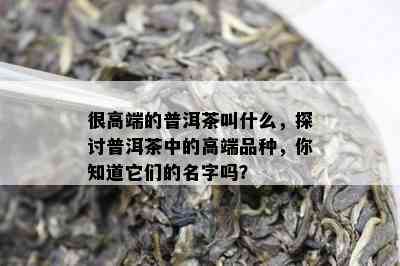 很高端的普洱茶叫什么，探讨普洱茶中的高端品种，你知道它们的名字吗？