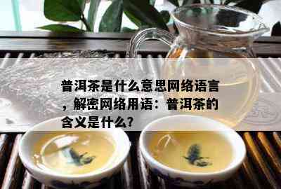 普洱茶是什么意思网络语言，解密网络用语：普洱茶的含义是什么？