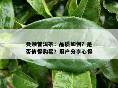 曼娥普洱茶：品质怎样？是不是值得购买？客户分享心得