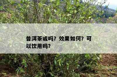 普洱茶戒吗？效果如何？可以饮用吗？