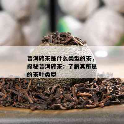 普洱砖茶是什么类型的茶，探秘普洱砖茶：了解其所属的茶叶类型