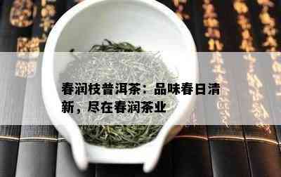 春润枝普洱茶：品味春日清新，尽在春润茶业