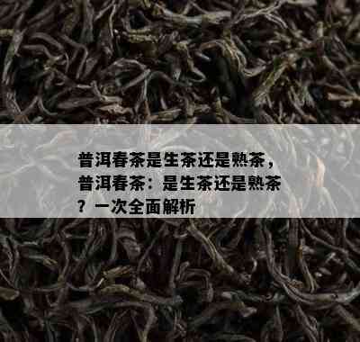 普洱春茶是生茶还是熟茶，普洱春茶：是生茶还是熟茶？一次全面解析