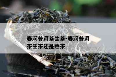 春润普洱茶生茶-春润普洱茶生茶还是熟茶