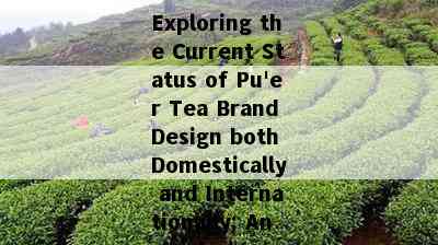 Exploring the Current Status of Pu'er Tea Brand Design both Domestically and Internationally: An Analysis