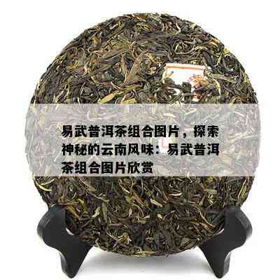 易武普洱茶组合图片，探索神秘的云南风味：易武普洱茶组合图片欣赏