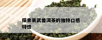 探索易武普洱茶的特别口感特性